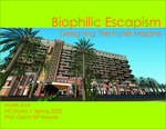 Biophilic Escapism: Designing The Hotel Mojave by Mark Kua