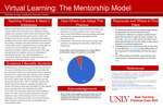 Virtual Learning: The Mentorship Model