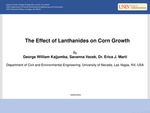 The Effect of Lanthanides on Corn Growth