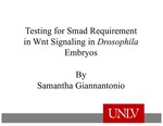 Testing for a Smad Requirement in Wnt Signaling in Drosphila Embryos by Samantha Giannantonio and Laurel Raftery Ph.D.