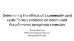 Determining the effects of a commonly used cystic fibrosis antibiotic on nonmucoid <i>Pseudomonas aeruginosa</i> reversion by Vanessa Meza-Perez