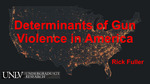 Determinants of Gun Violence in America
