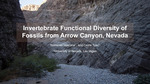Invertebrate Functional Diversity of Fossils From Arrow Canyon, Nevada by Nathaniel Valentine
