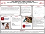 Cultural Identity Predicts Resilience in Maltreated Youth