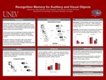 Recognition Memory for Auditory and Visual Objects