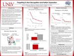 Forgetting in Item Recognition and Pattern Separation