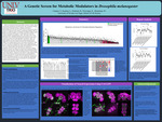 A Genetic Screen for Metabolic Modulators in Drosophila melanogaster