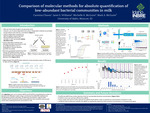 Comparison of Molecular Methods for Absolute Quantification of Low-Abundant Bacterial Communities in Milk