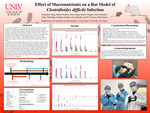 Effect of Macronutrients on a Rat Model of Clostridioides Difficile Infection by Stephanie Yang, Maria Niamba, Rose Jiang, Ashton Wippel, Efren Heredia, Liliko Watanabe, Katrina Valadez, Erica Bacab, and Ernesto Abel-Santos