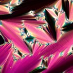 Liquid-Crystalline Phase of Ionic Organic Salts by Jessa Li